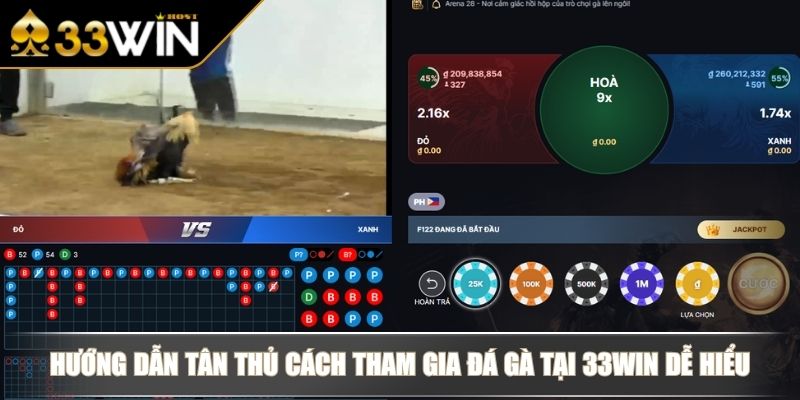 Hướng dẫn tân thủ cách tham gia Đá Gà tại 33WIN dễ hiểu