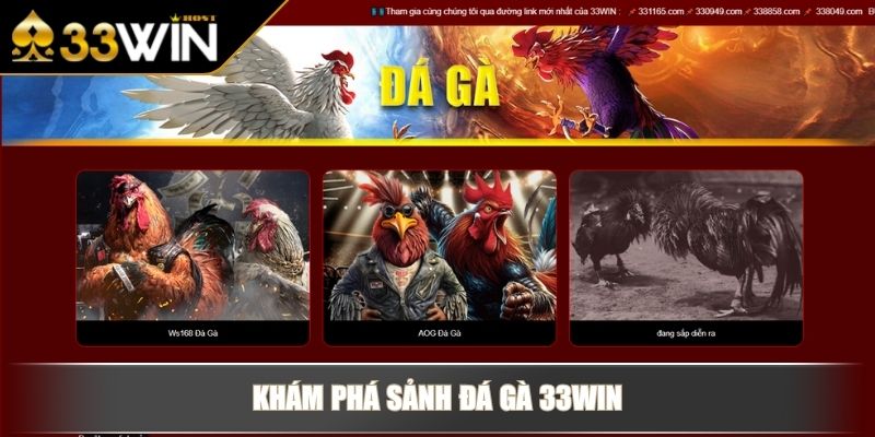Khám phá sảnh Đá Gà 33WIN