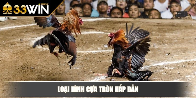 Loại hình cựa tròn hấp dẫn