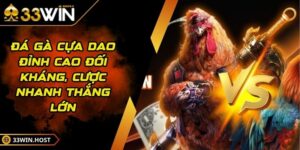 Đá Gà Cựa Dao - Đỉnh Cao Đối Kháng, Cược Nhanh Thắng Lớn