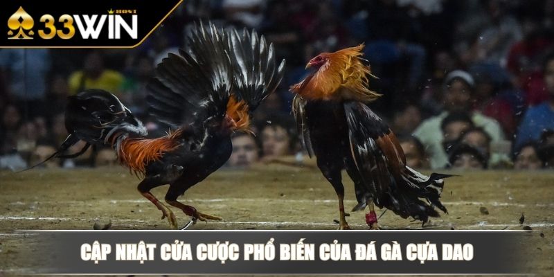 Đá Gà Cựa Dao - Đỉnh Cao Đối Kháng, Cược Nhanh Thắng Lớn 3 Cập nhật cửa cược phổ biến của đá gà cựa dao
