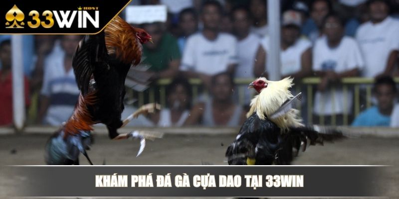 Đá Gà Cựa Dao - Đỉnh Cao Đối Kháng, Cược Nhanh Thắng Lớn 2 Khám phá đá gà cựa dao tại 33WIN