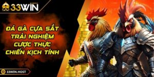 Đá Gà Cựa Sắt - Trải Nghiệm Cược Thực Chiến Kịch Tính