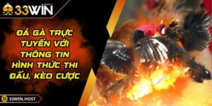 Đá Gà Trực Tuyến Với Thông Tin Hình Thức Thi Đấu, Kèo Cược
