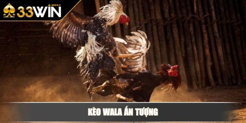 Đá Gà Trực Tuyến Với Thông Tin Hình Thức Thi Đấu, Kèo Cược 4 Kèo Wala ấn tượng