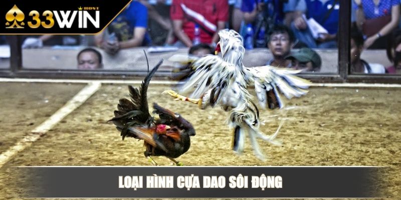 Đá Gà Trực Tuyến Với Thông Tin Hình Thức Thi Đấu, Kèo Cược 3 Loại hình cựa dao sôi động