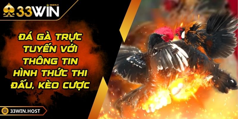Đá Gà Trực Tuyến Với Thông Tin Hình Thức Thi Đấu, Kèo Cược