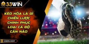 Kèo Hòa Là Gì Chiến Lược Chinh Phục Loại Cá Độ Cân Não