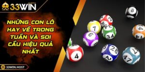 Những Con Lô Hay Về Trong Tuần Và Soi Cầu Hiệu Quả Nhất